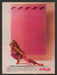 Levelor Woven Shades Legs Cute Model 1980s Print Advertisement 1980 Fetch the Paper!