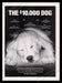 National Disaster Search Dog Foundation 2000's Print Advertisement Ad 2004 Fetch the Paper!