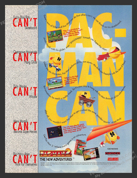 Pac-Man 2 The New Adventures Video Game 1990s Print Advertisement Ad Fetch the Paper!