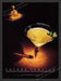Patron Tequila 1990s Print Advertisement 1995 Spotlight Glass Bottle Promo Fetch the Paper!