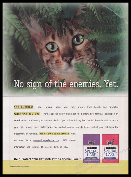 Purina 2000s Print Advertisement Ad 2000 Fetch the Paper!