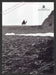 2005 Print Advertisement Radisson Seven Sea Cruises Travel International Camel.