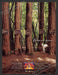 2001 Risk Board Game "Claim Your Territory" Print Advertisement Ad.
