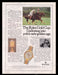 Rolex Watch 1980s Print Advertisement Ad 1985 Gold Cup Polo Fetch the Paper!