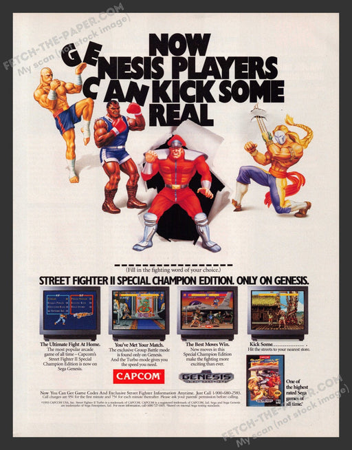 1993 Print Advertisement Street Fighter II Video Game Ad.
