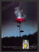 Tea Rose Fragrance Lightning Striking Rose 1980s Print Advertisement 1983 Fetch the Paper!