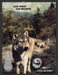 2002 Timber Wolf Wintergreen Chewing Tobacco Print Advertisement Ad.