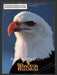 1991 Winston King Size Cigarettes American Bald Eagle Print Advertisement Ad